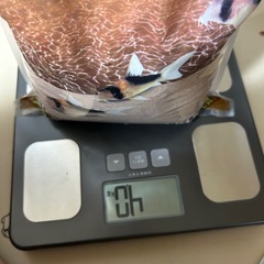 コリドラス ボトムサンドの画像