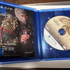 PS5黒神話・悟空の画像