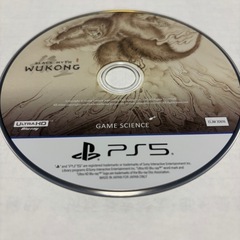 PS5黒神話・悟空の画像