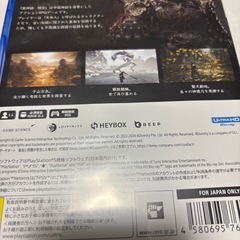 PS5黒神話・悟空の画像