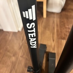 【定価約半額】トレーニング・ディップスバー(STEADY))の画像