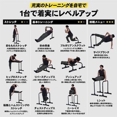 【定価約半額】トレーニング・ディップスバー(STEADY))の画像