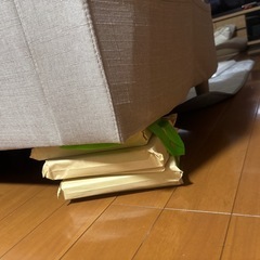 難あり　ソファーの画像
