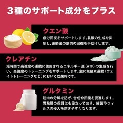 ザプロ EAA ベータアラニン クエン酸 THE PROTEIN プロテインの画像