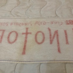 B’z マフラータオル HINOTORI LIVE-GYMの画像