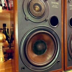 スピーカーセット DIATONE DS-200Zの画像