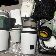 【大型車で自宅まで受け取れる方限定】観葉植物約40鉢とプランター、受け皿などまとめての画像