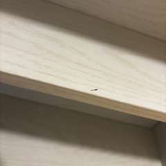棚の画像