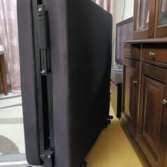 アイリスオーヤマ　折りたたみベッド　シングルベッド　リクライニング付き　美品の画像