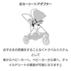 Phil＆Teds  Voyager V6の画像