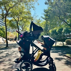 Phil＆Teds  Voyager V6の画像