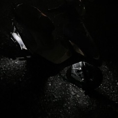 ストロボついてる125CCバイク