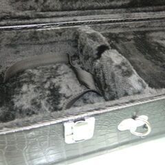 9.500円　沖縄三線専用　肩紐付き一丁入ふかふかハードケースの画像