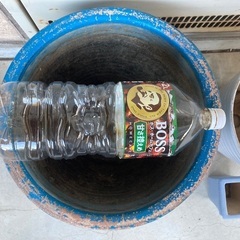 【3個】植鉢鉢 プランター 陶器の画像