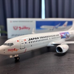 JTA 737-800 スケールモデルの画像