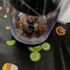 スタバハロウィンスノードームタンブラーの画像