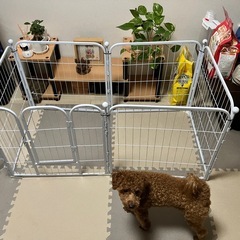 組み立て式犬用ゲージの画像