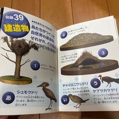 ポケット図鑑クイズブックの画像