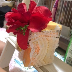 ハムスターハウス自作の画像