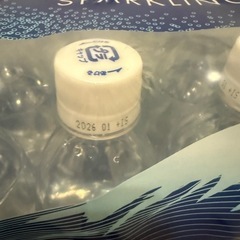 カークランドシグネチャー 強炭酸水  500ml×35  5セット
の画像
