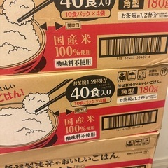 アイリスフーズ 低温製法米のおいしいごはん 180g×40食パック（10食パック×4袋）×10箱の画像