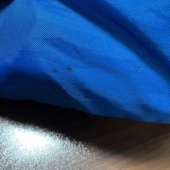 お話中adidas ショルダーバッグの画像