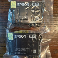 エプソン純正インクカートリッジマゼンタイエローの画像
