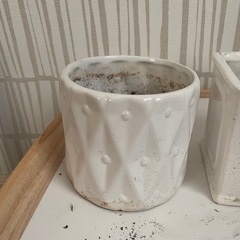 プランター　陶器の画像