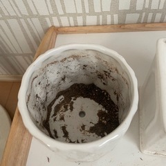 プランター　陶器の画像