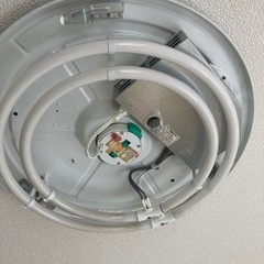 丸型蛍光灯の画像