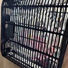 早い者勝ちニトリ　大理石 こたつの画像