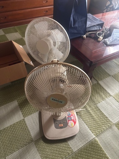 せんぷ扇風機