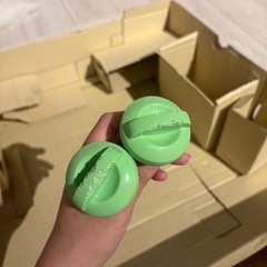 プーメリーの画像