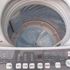 【近隣配送可】ハイセンス 　5.5kg 洗濯機（2019年製）の画像