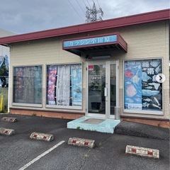 メダカイベント カラシン小田原