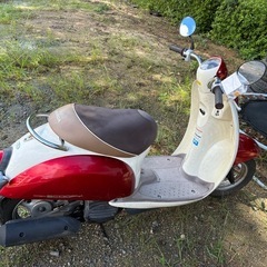 バイク二台の画像