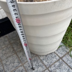 植木鉢　プランター　鉢植え　の画像