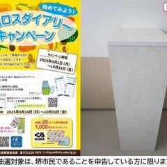 【堺市民限定】(2510-01) キャビネットの画像