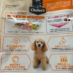 犬のご飯の画像