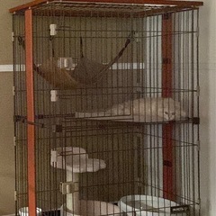 キャットケージ２段の画像