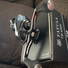 タトゥーラ　TW400Hの画像
