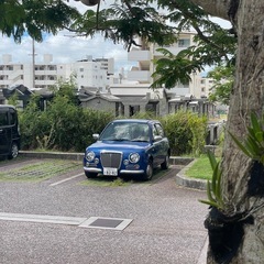 マーチ　ボレロ　希少車の画像