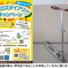 【堺市民限定】(2510-12) キックスケーターの画像
