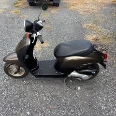 1135.ホンダ　トゥデイ　AF67 低走行　原付　バイク　50cc 車体　埼玉の画像