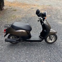 1135.ホンダ　トゥデイ　AF67 低走行　原付　バイク　50cc 車体　埼玉の画像