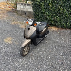 1135.ホンダ　トゥデイ　AF67 低走行　原付　バイク　50cc 車体　埼玉の画像