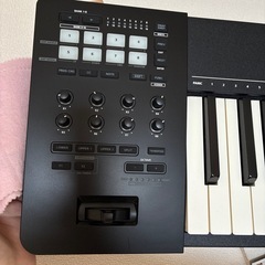 MIDIキーボード「A-88 MKII」木製鍵盤の高級タッチ　USB-C対応　　　　の画像