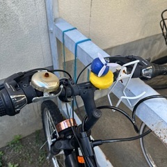 マウンテンバイク本日限定の画像