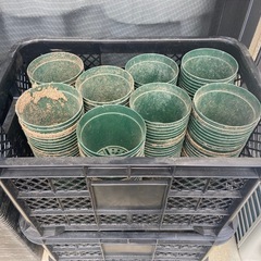 プランター！植木鉢受け皿全383個➕小物付購入時17万円金額相談可の画像