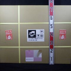 未開封 保管品 ケー・アイ・エス 太陽光 パネル モジュール FT236S3B-E/SLF 2枚 セットの画像